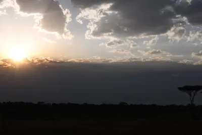 DSC_3699 (Large).JPG